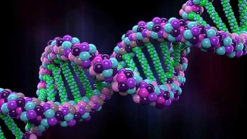 94cef0 dna human genome and genes ownership x800