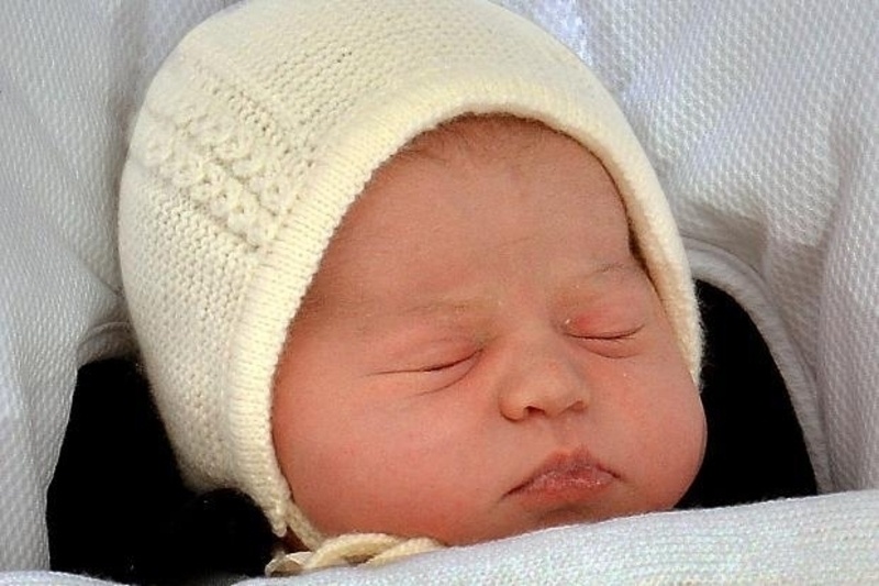 26572b 167052966 royal bab 900214c x800