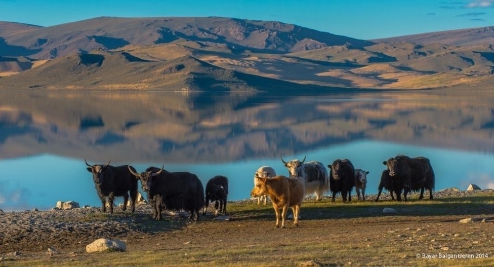 ФОТО: Улаагчны хар нуур