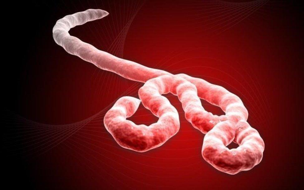 Ebola.com 200,000 долларт зарагджээ