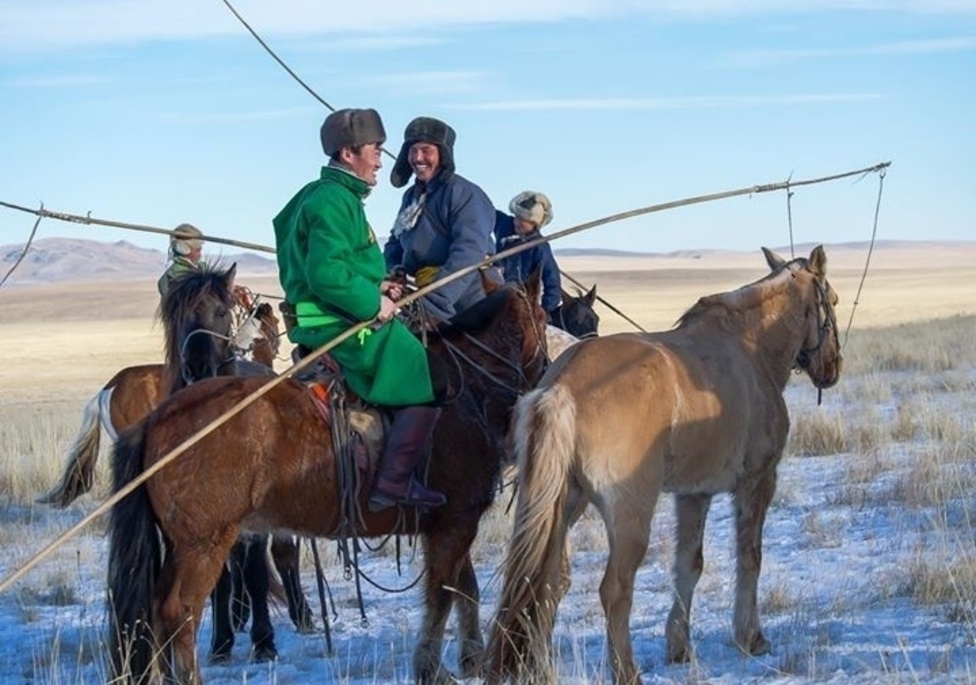 колеса двигатель частный фото монголов все
