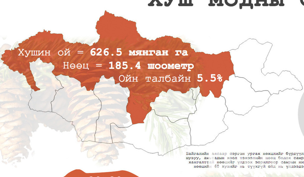 ИНФОГРАФИК: Хуш модны самар