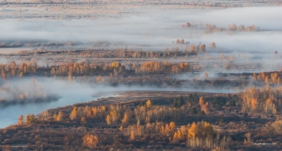 ФОТО: Сэлэнгийн шаргал намар