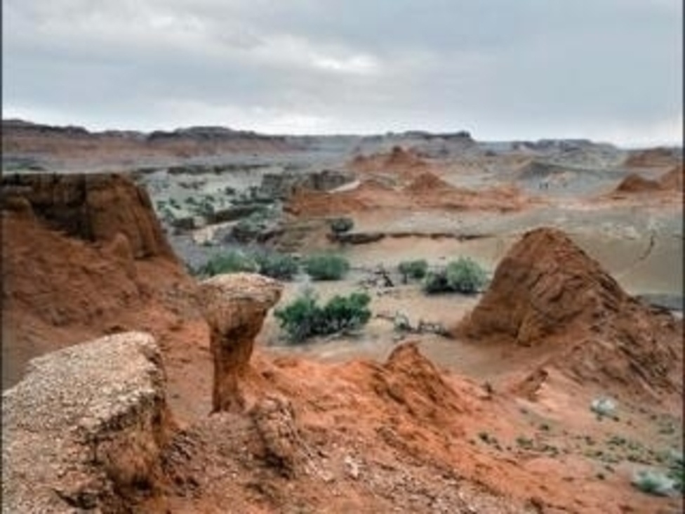 Сен жылағанша есекпен силайды