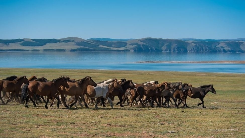 ФОТО: Сангийн далай нуур