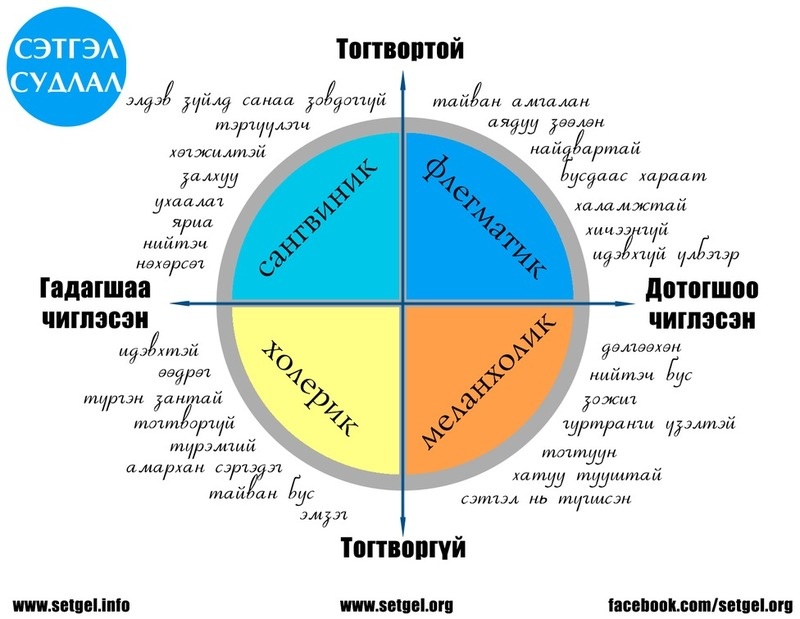 Тест на тип темперамента ворд