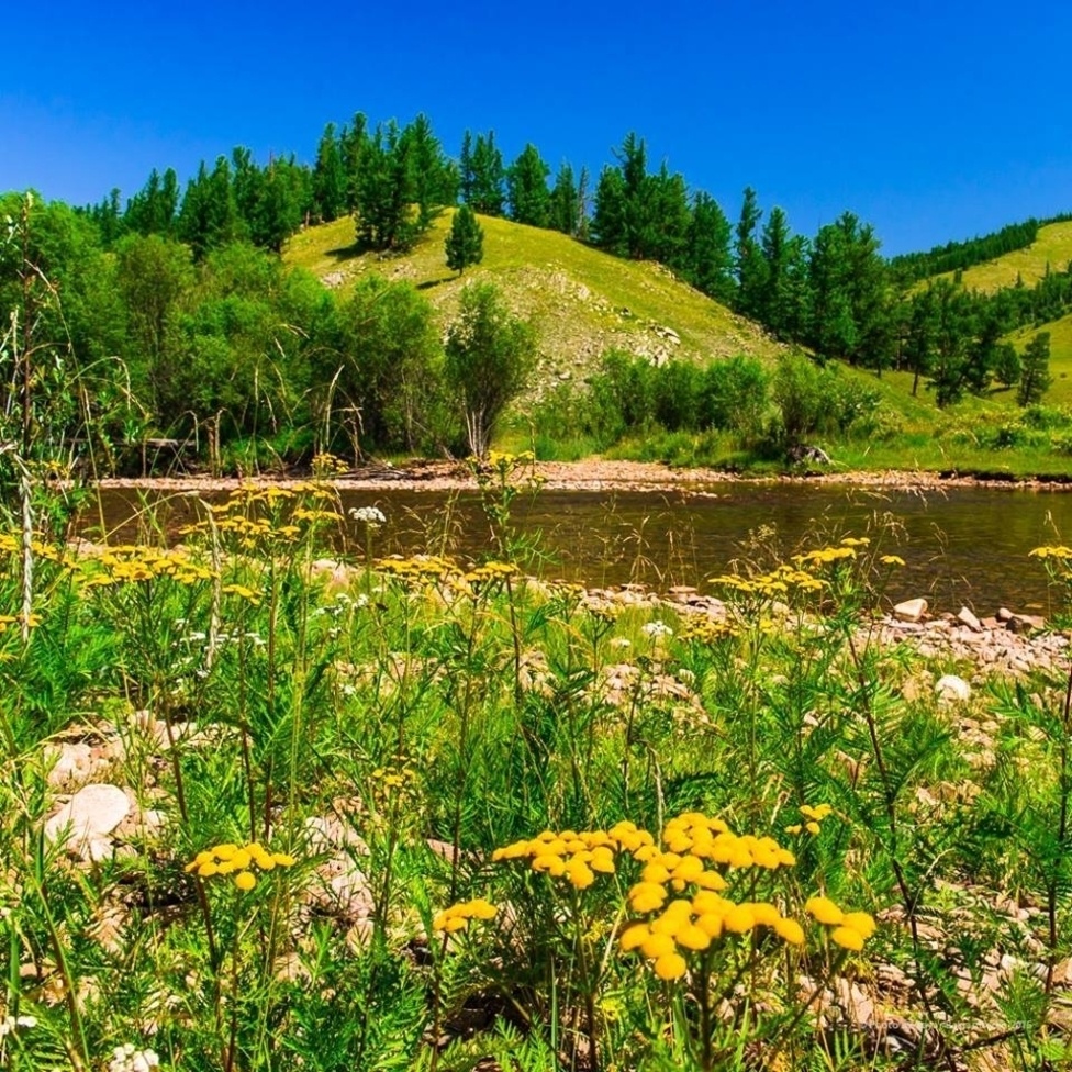 ФОТО: Зуны дэлгэр цаг