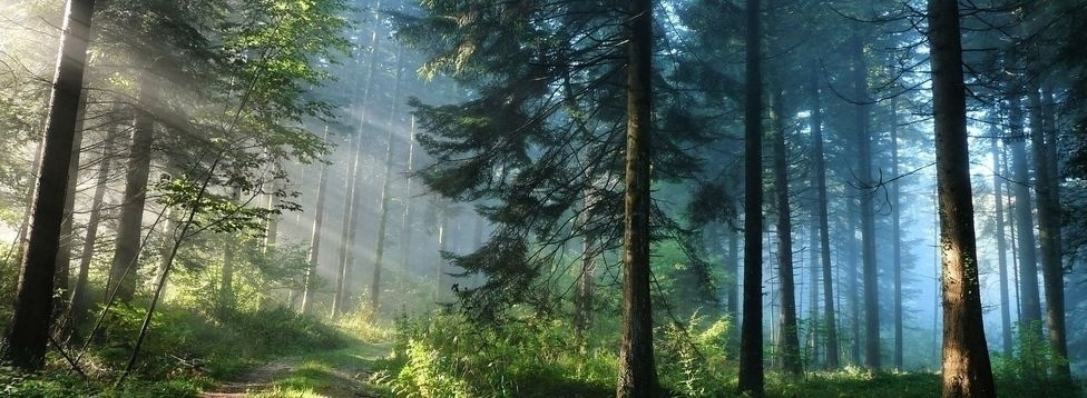 зураг