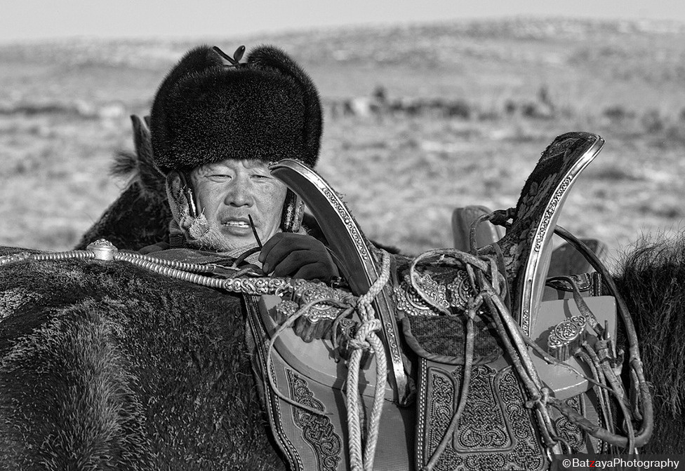 ФОТО: Адуун сүрэг
