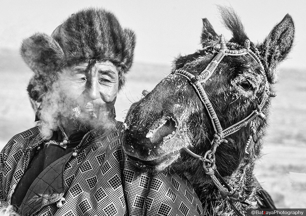 Монголия монгол. Энгэры монгольские. Монгольская лошадь. Бурято-монгольская лошадь. Красивые Монголы.