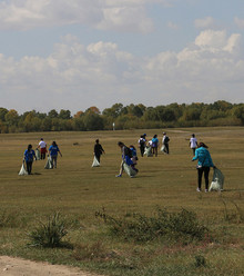 Зураг