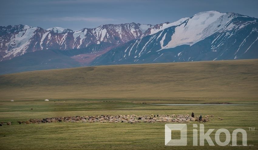 ФОТО: Хархираа, Түргэний өндөр уулс