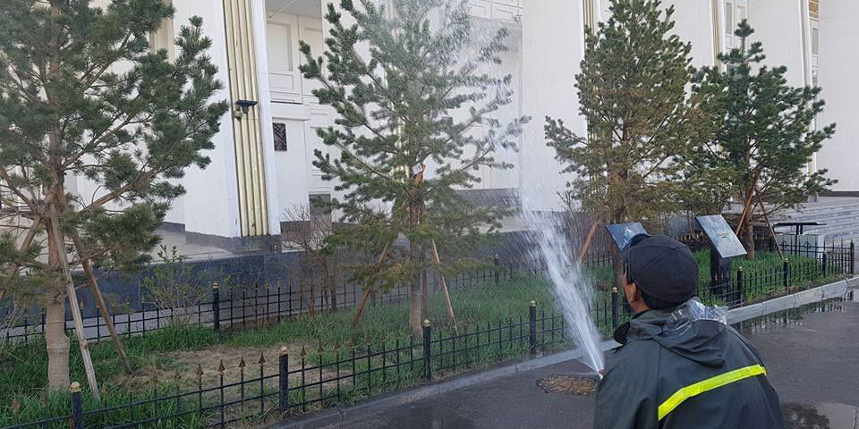 Шилмүүст моддын титмийг угааж эхэллээ