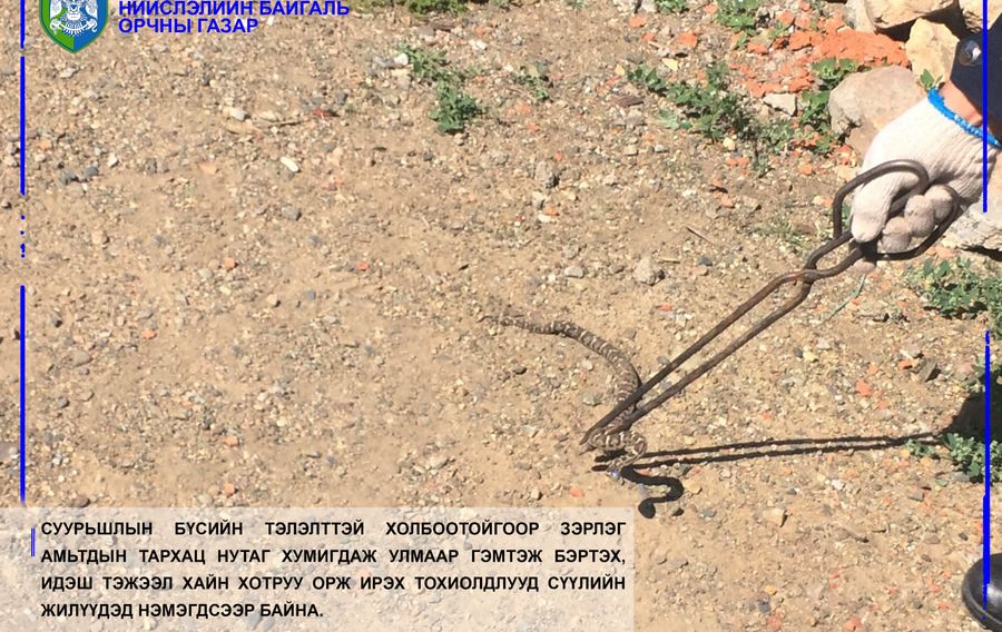 Зураг