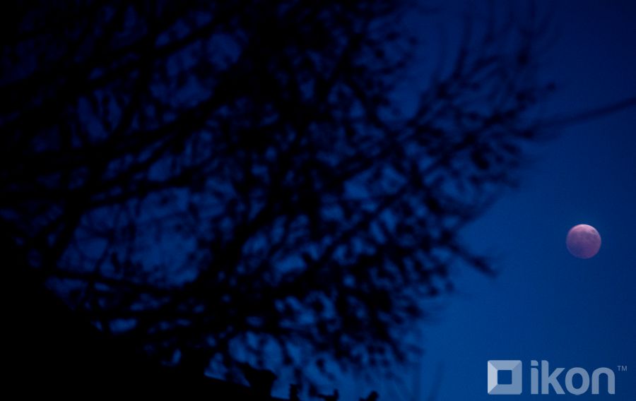 ФОТО: Гурван жил дахин үзэгдэхгүй сарны бүтэн хиртэлт