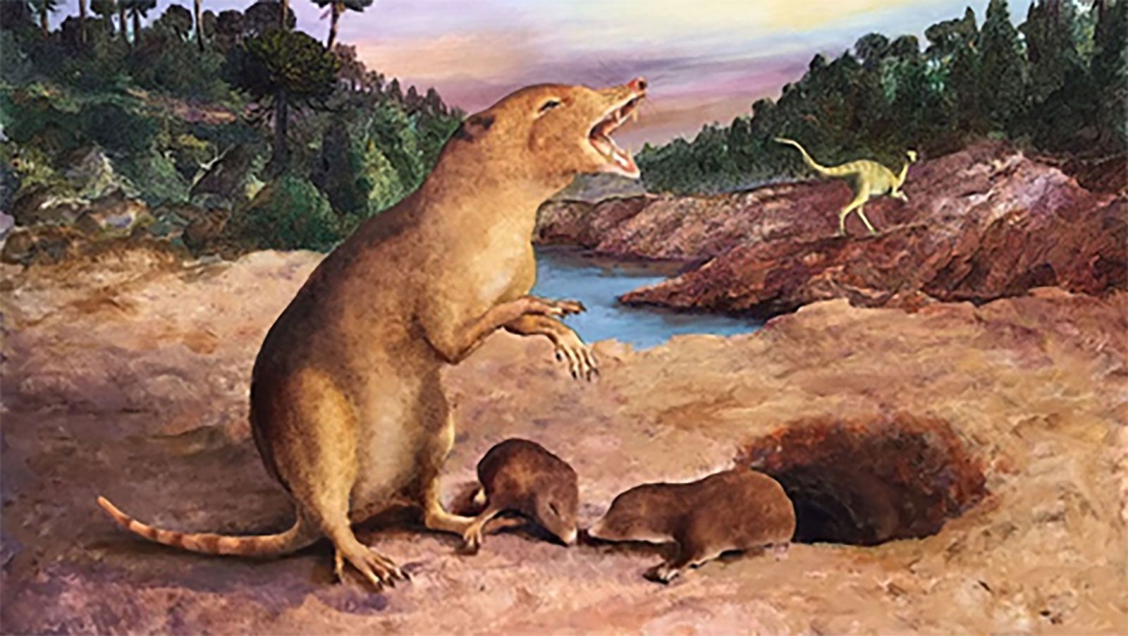 Хамгийн эртний хөхтөн амьтан 225 сая жилийн өмнө амьдарч байсныг ...