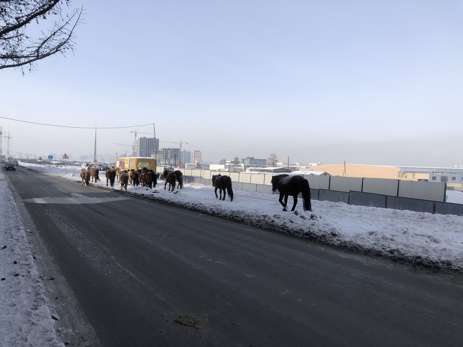 зураг