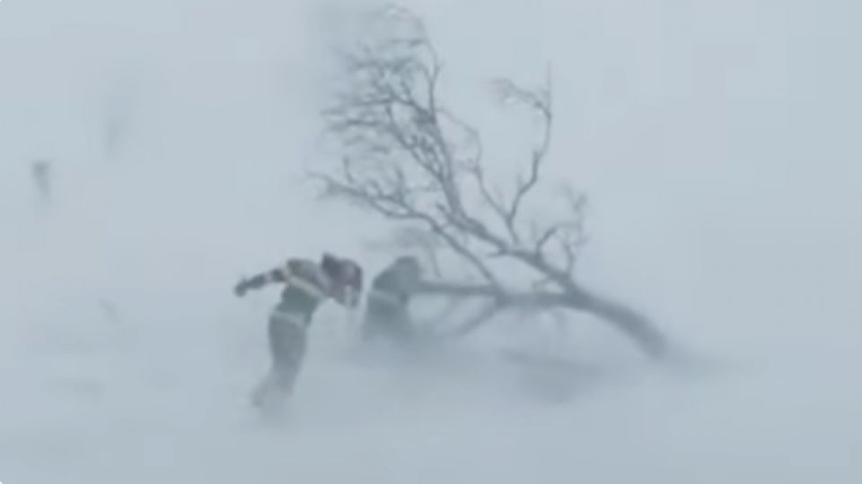 зураг