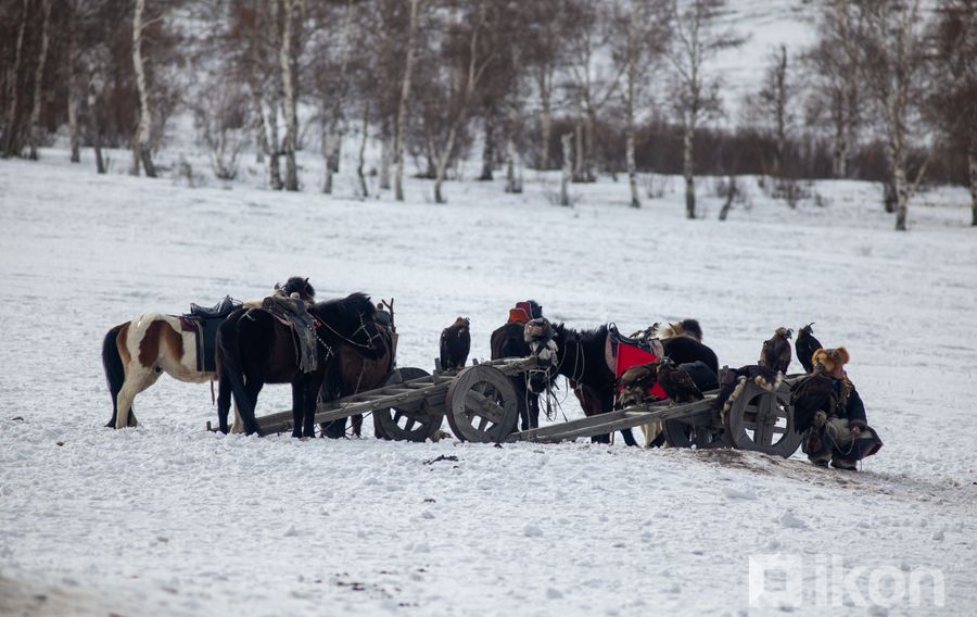 ФОТО: Бүргэдийн баярын үеэрх онцлох үзүүлбэрүүд