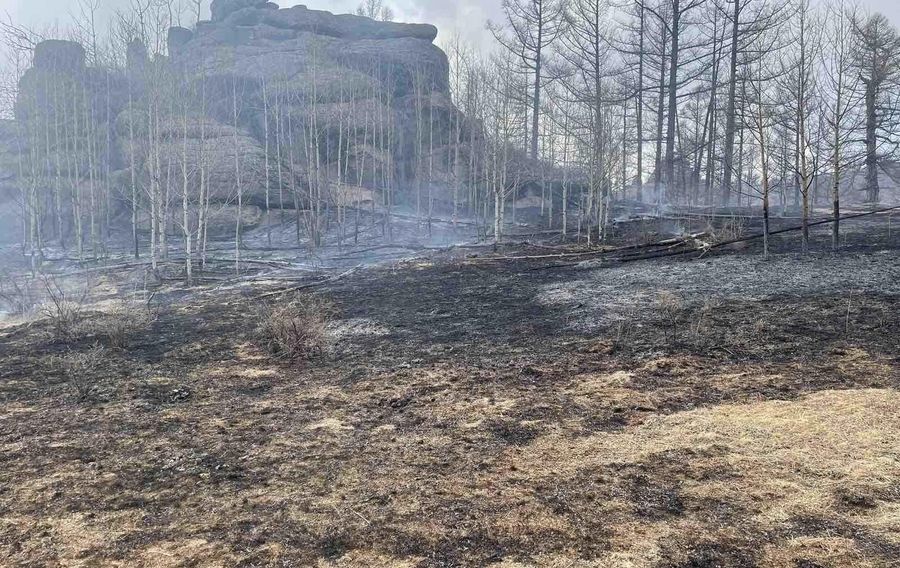 СЭРЭМЖЛҮҮЛЭГ: Гүнжийн сүмд ой хээрийн түймэр гарч, 14 га орчим талбай ...