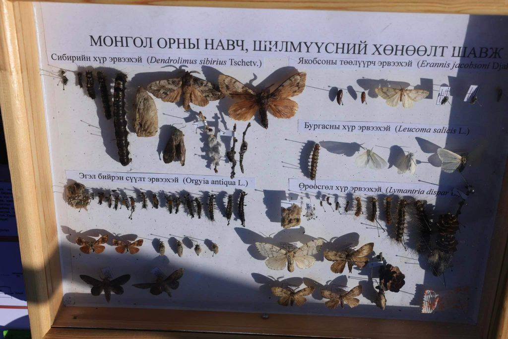 зураг