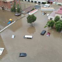 Зураг