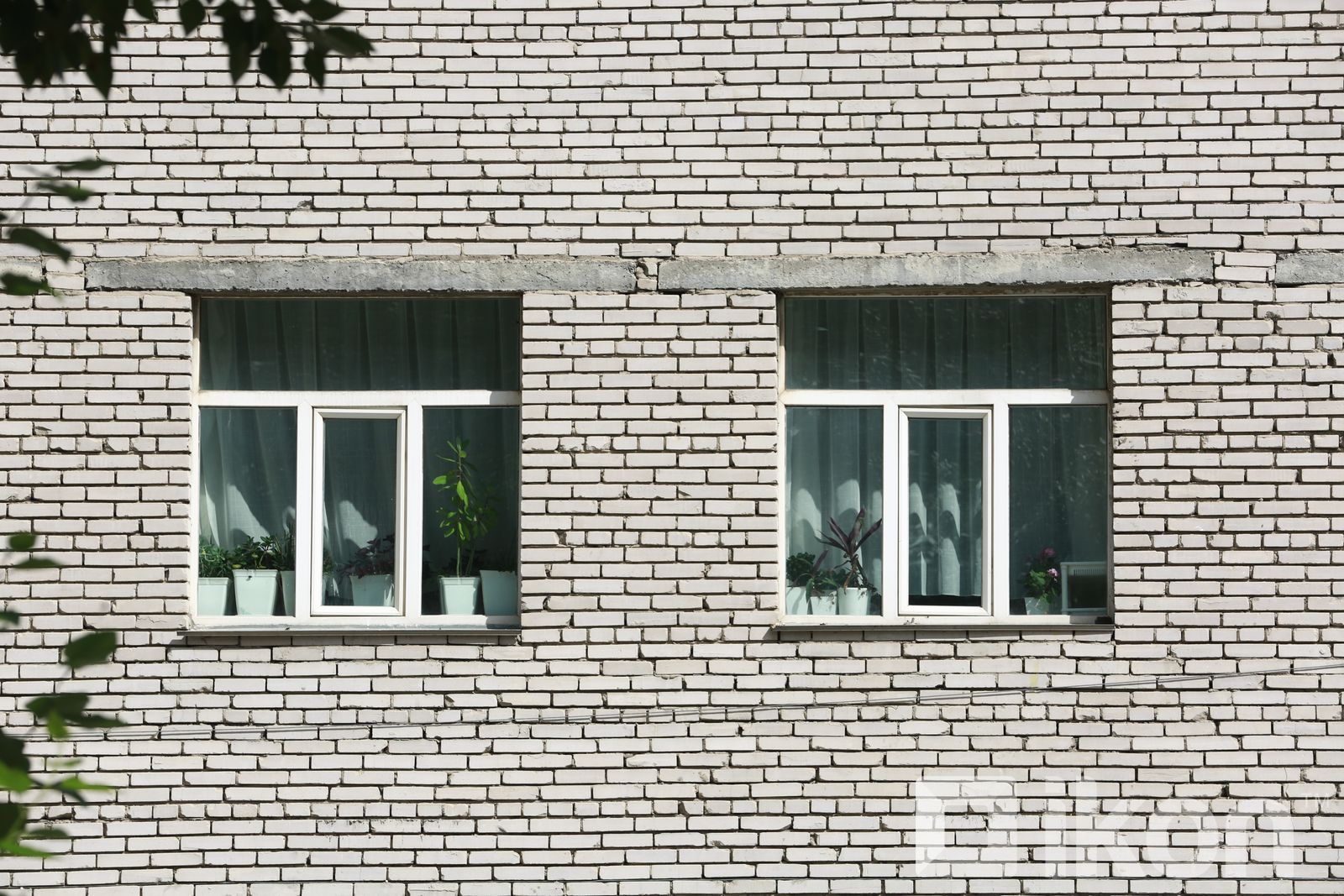 зураг