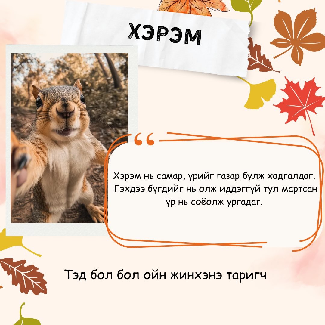 зураг
