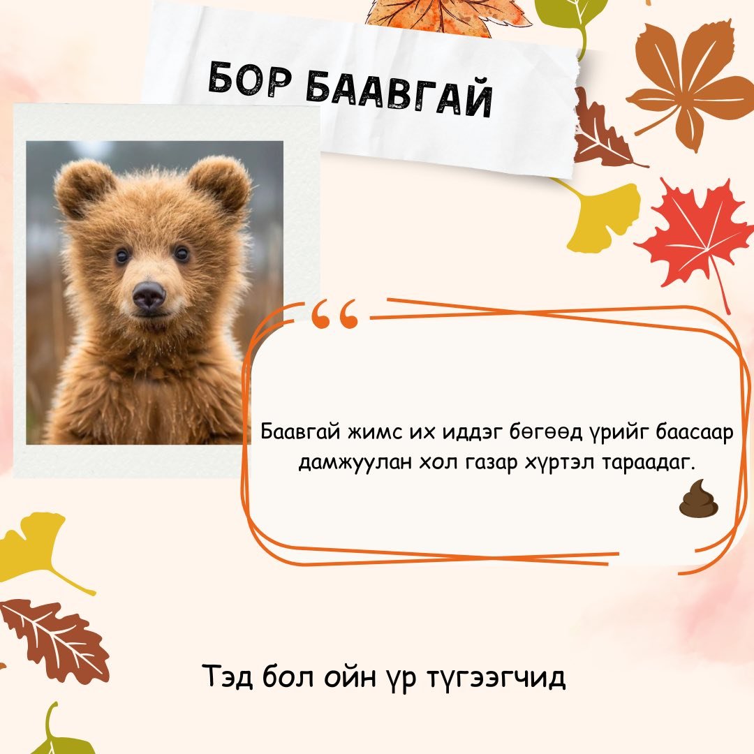 зураг