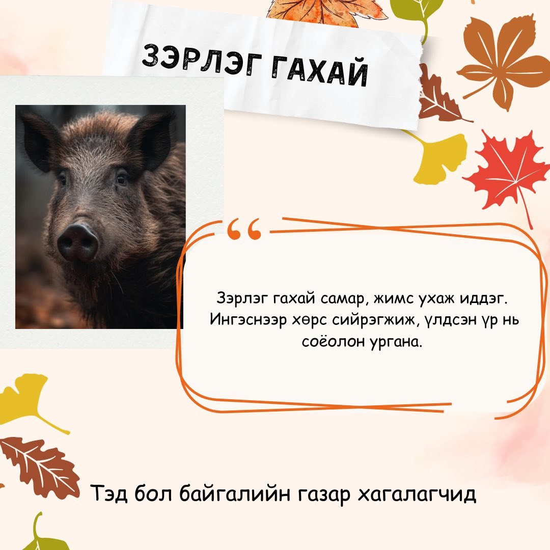 зураг