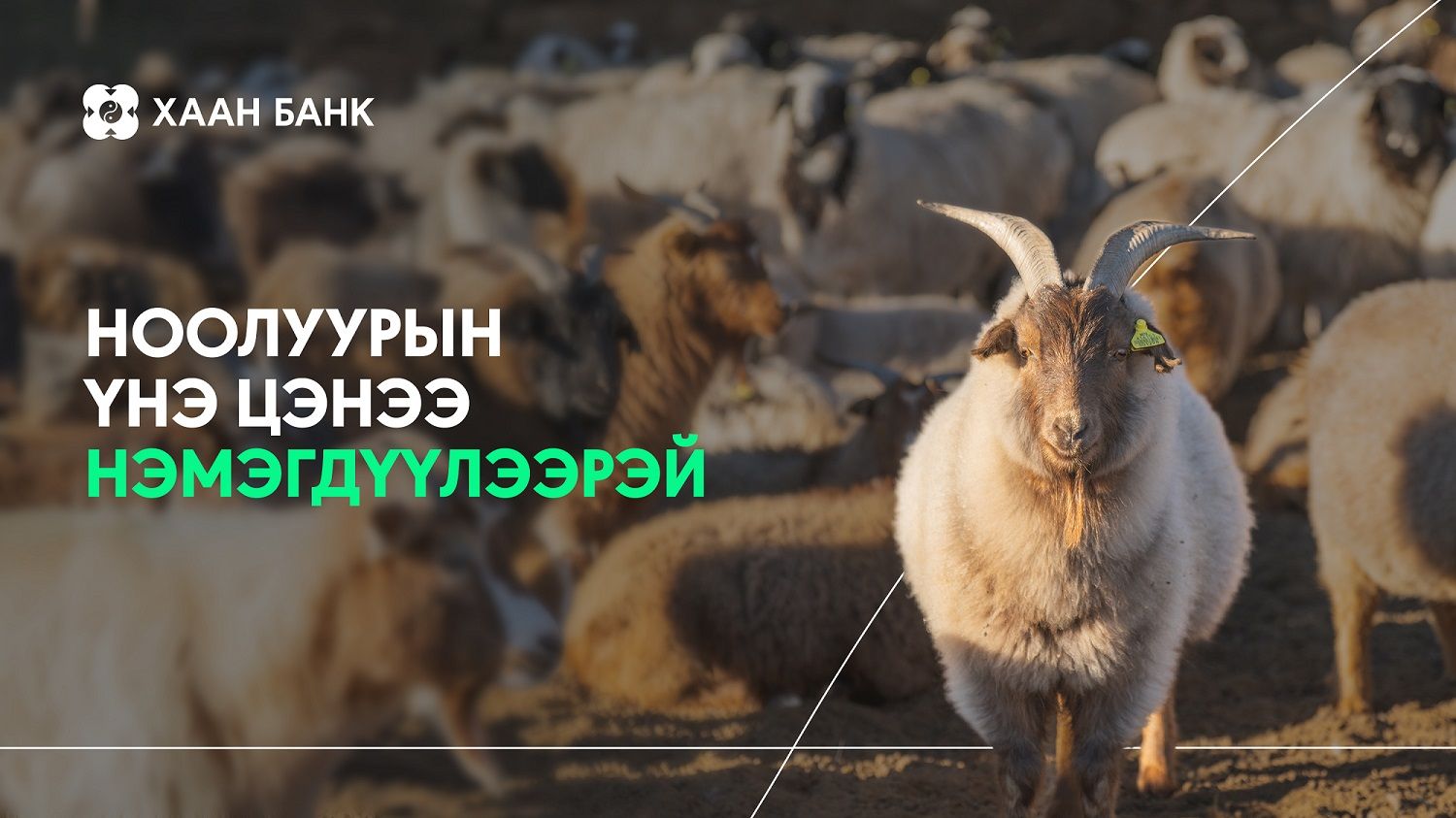 зураг