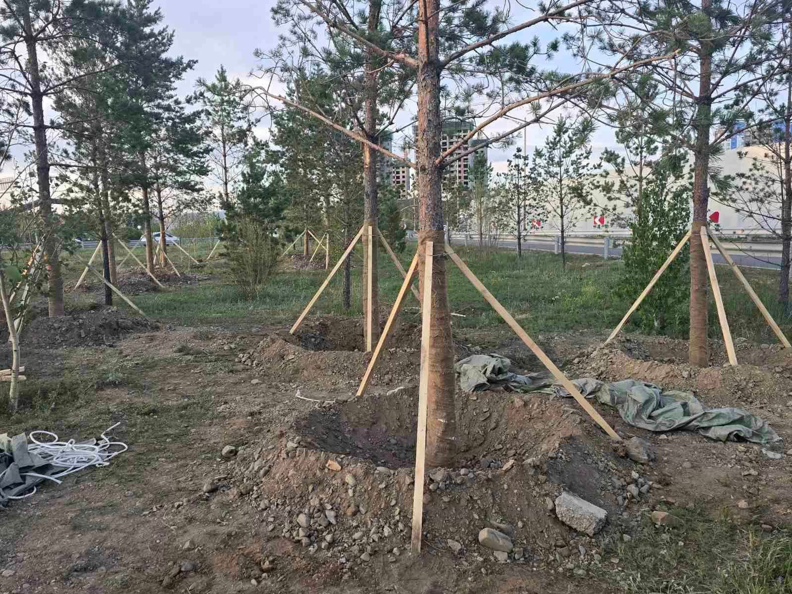 зураг