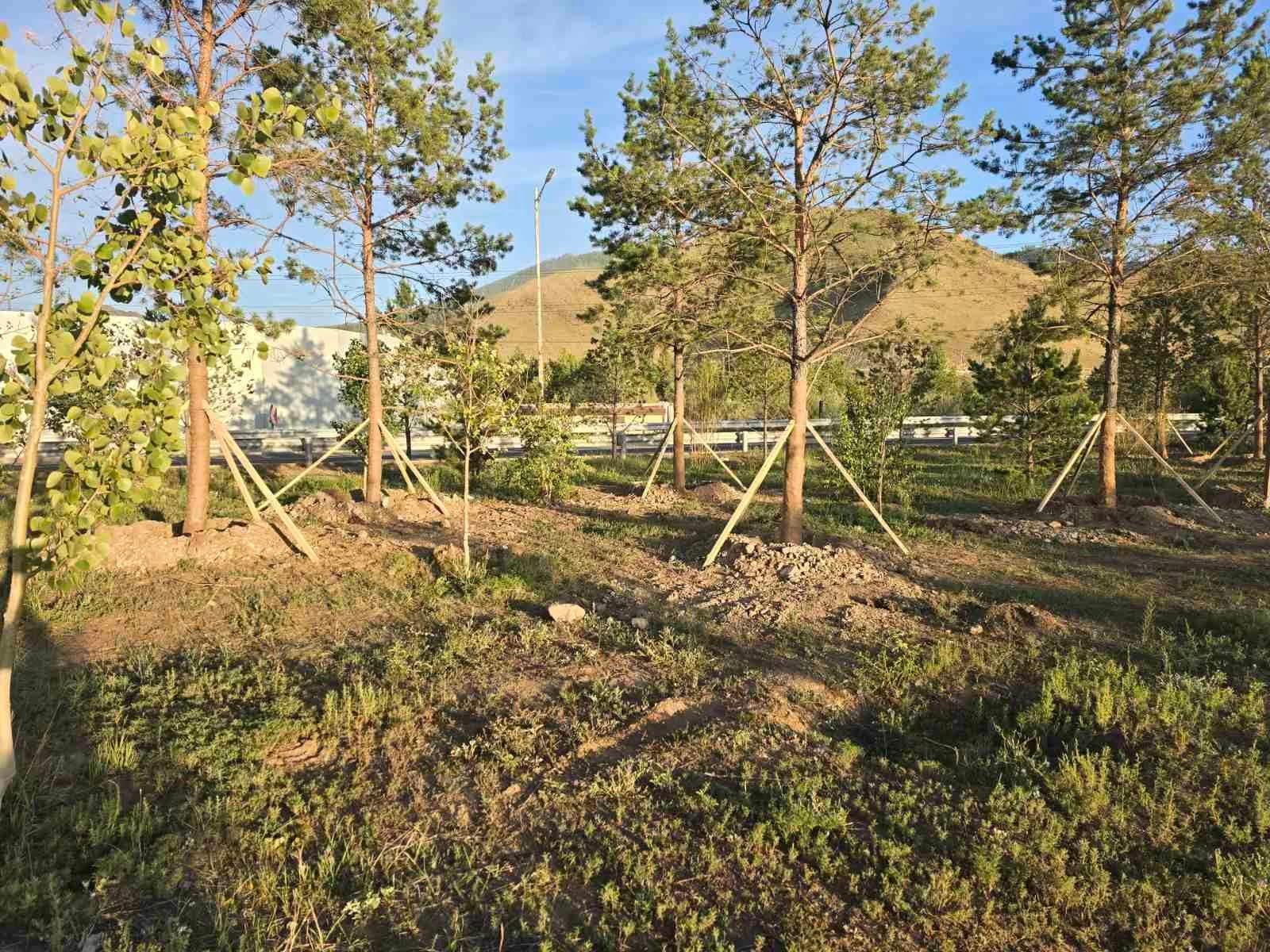 зураг