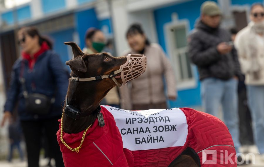 Зураг