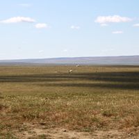 Зураг