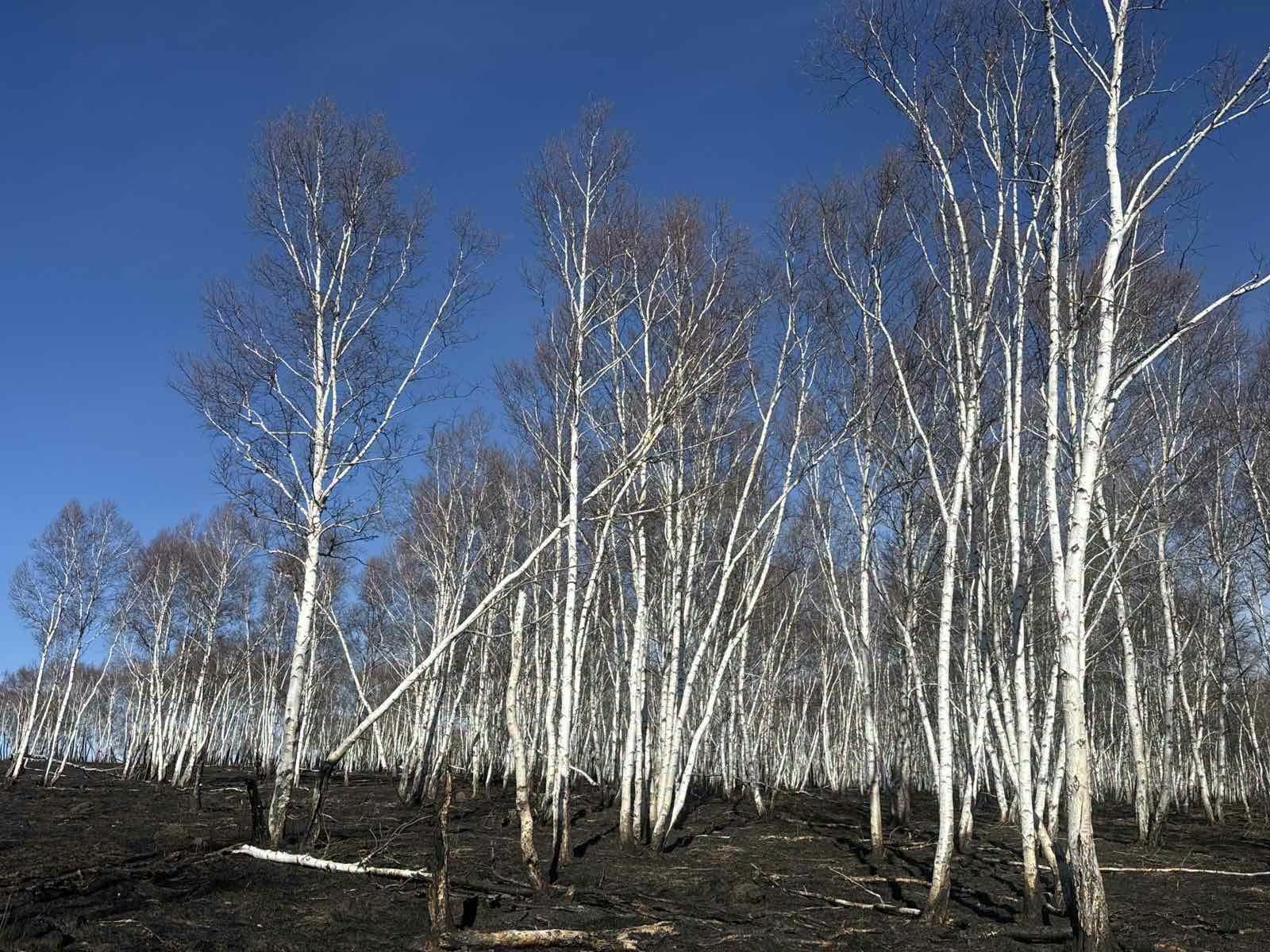 зураг