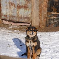 Зураг