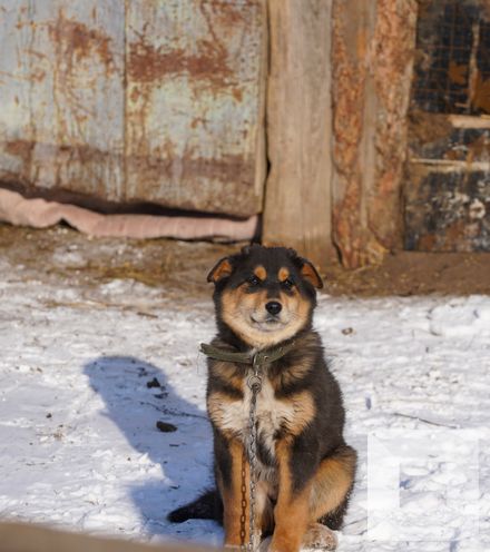 Зураг