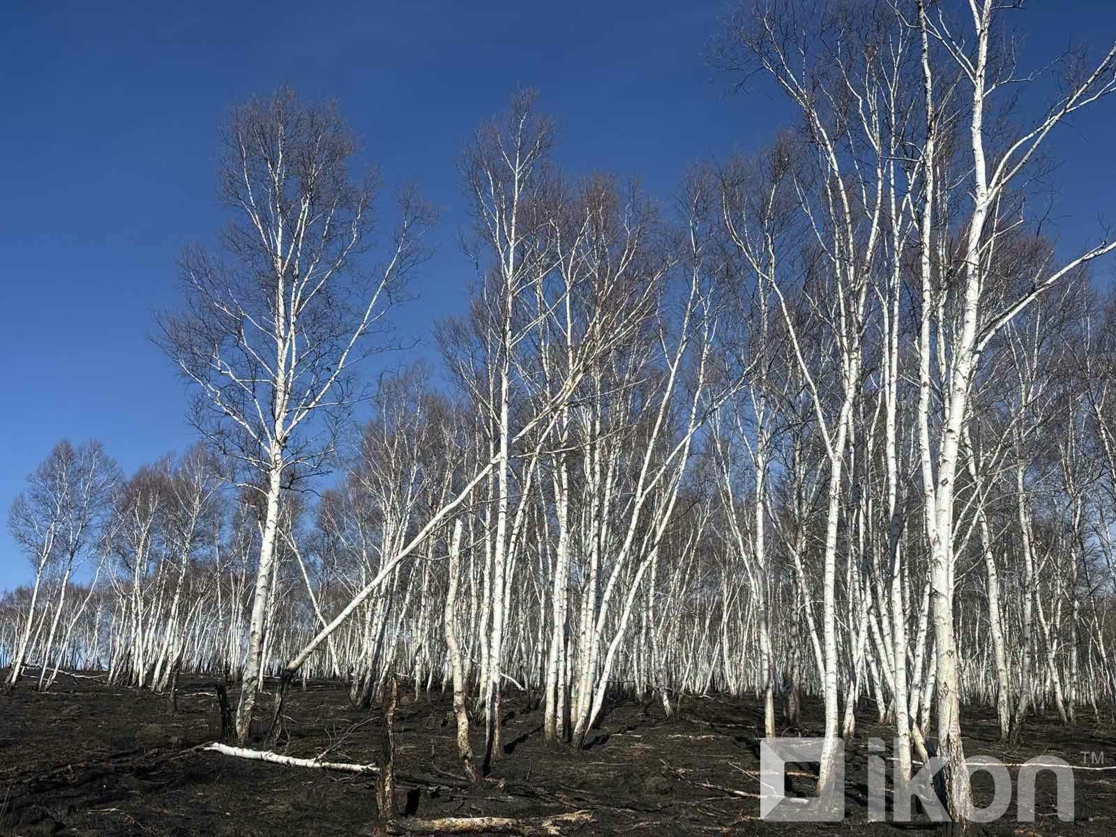 зураг
