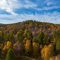 Зураг