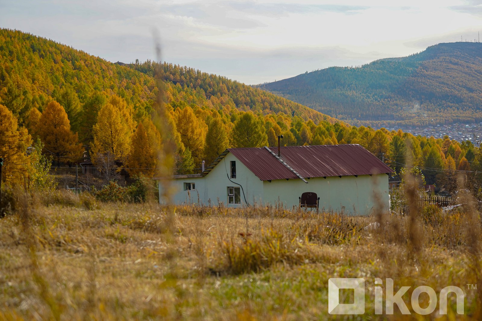 зураг