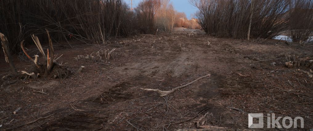 Зураг
