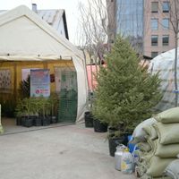 Зураг