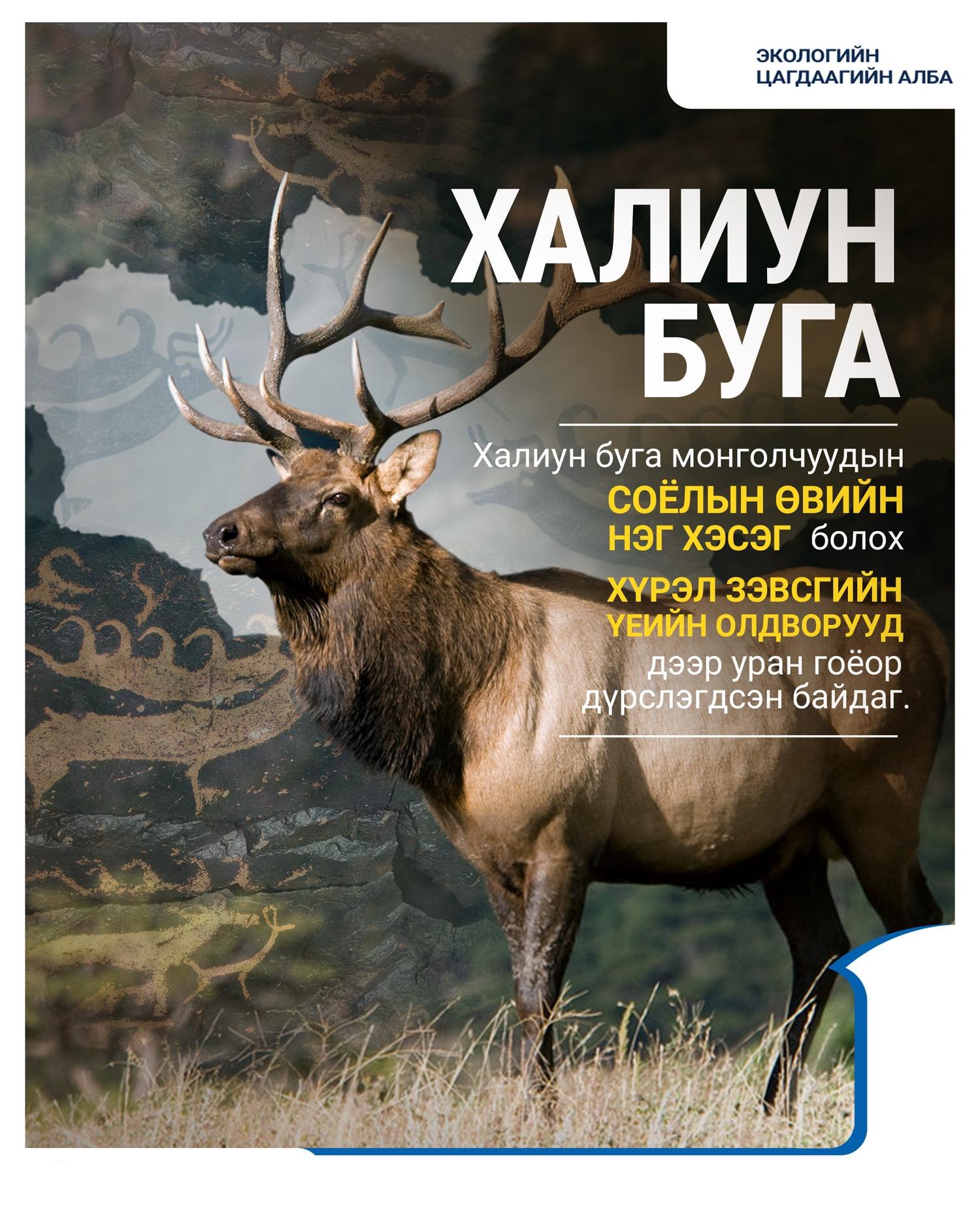 зураг