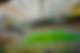 Зураг
