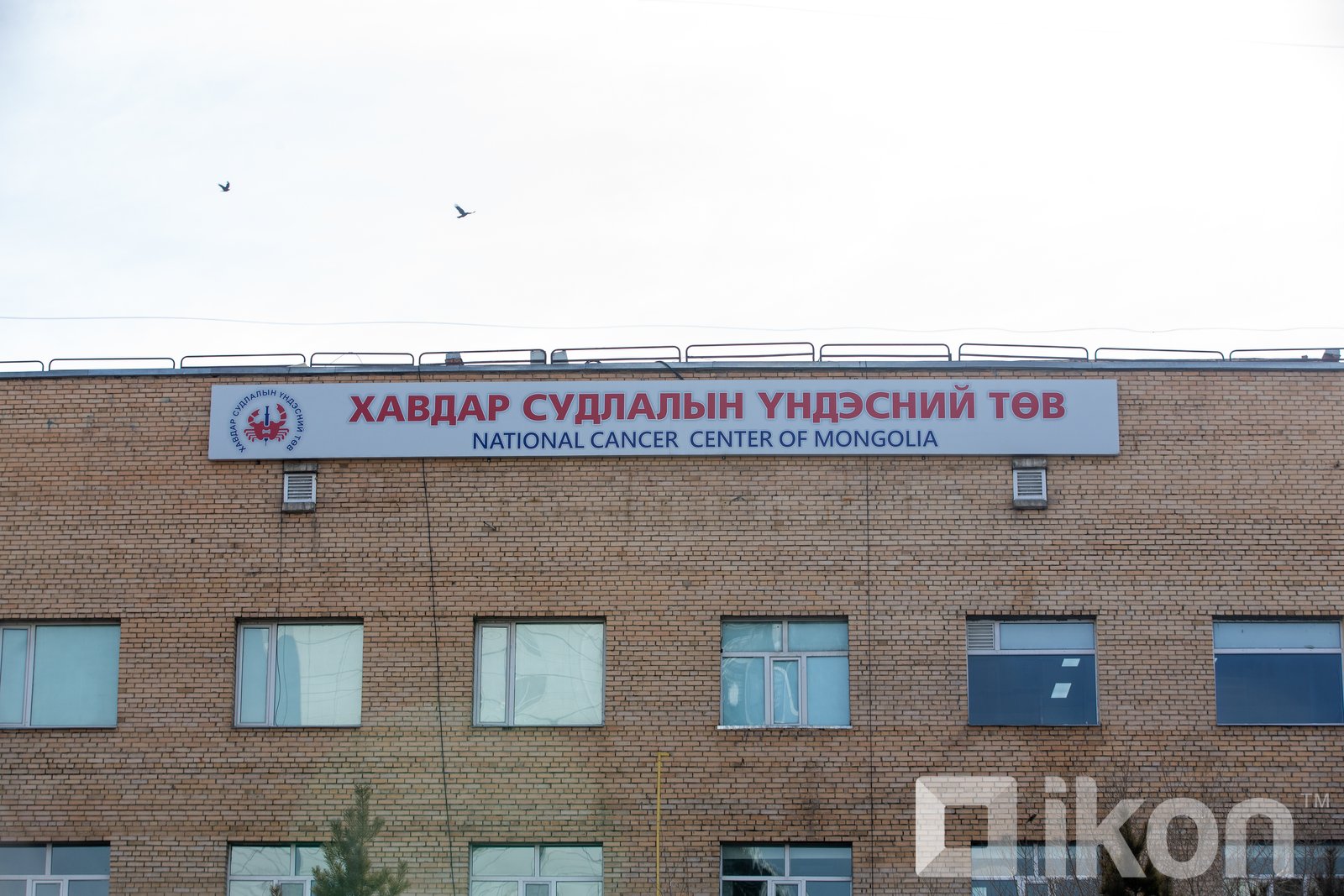 зураг