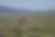 Зураг