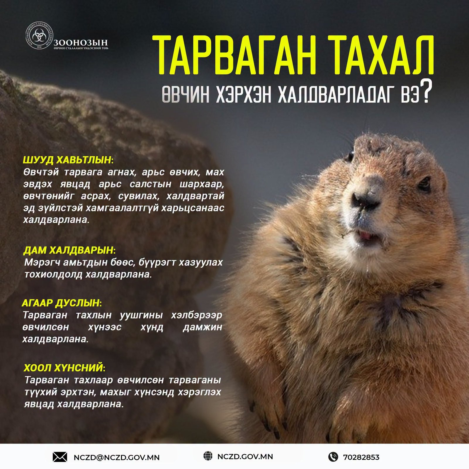 зураг