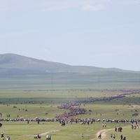 Зураг