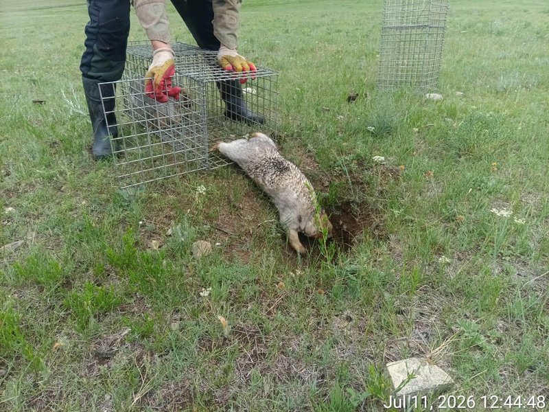 Зураг